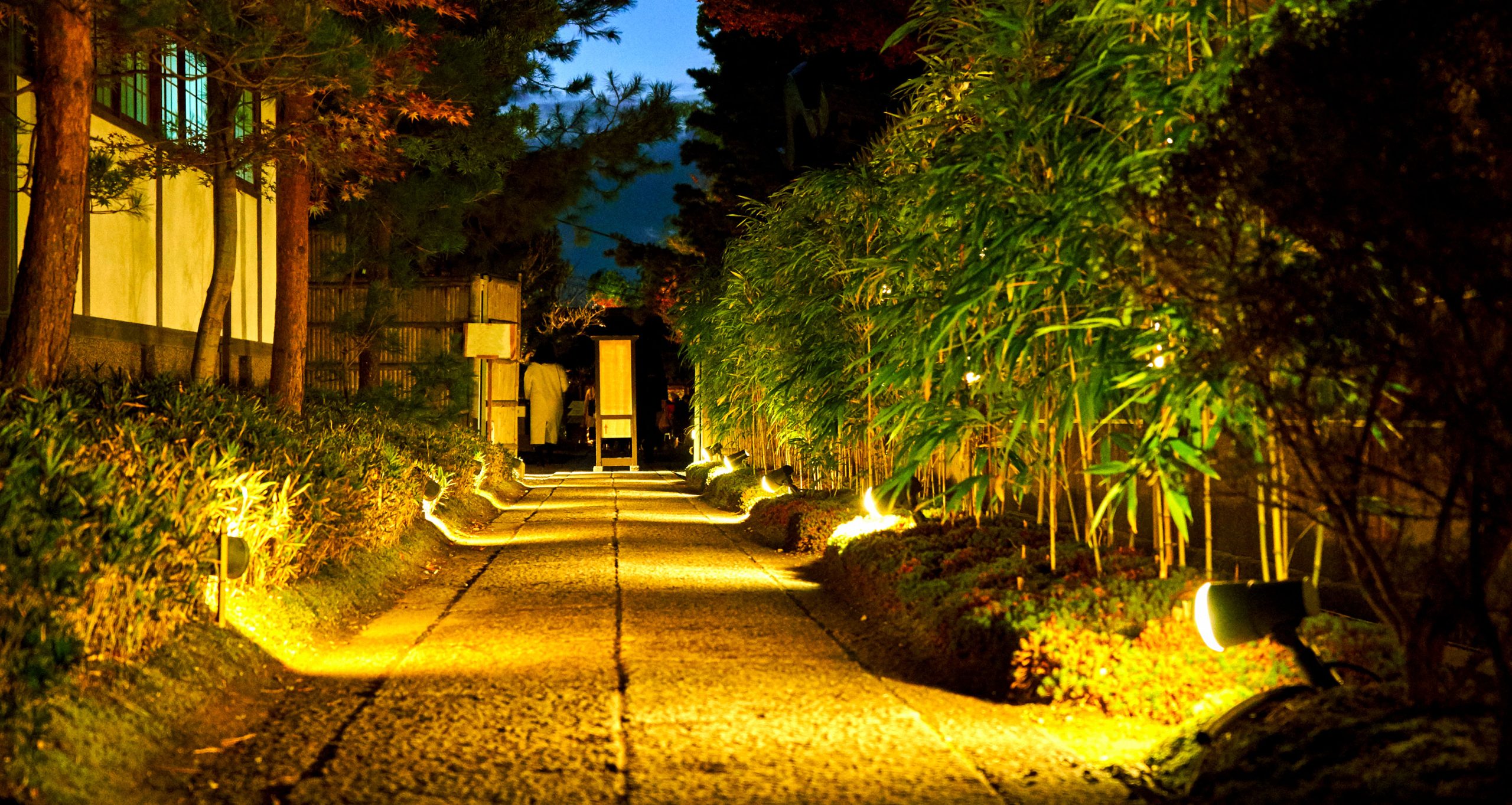 bamboo by commercial building