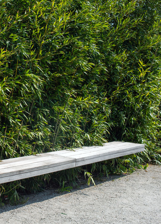 custom bench by bamboo hedge