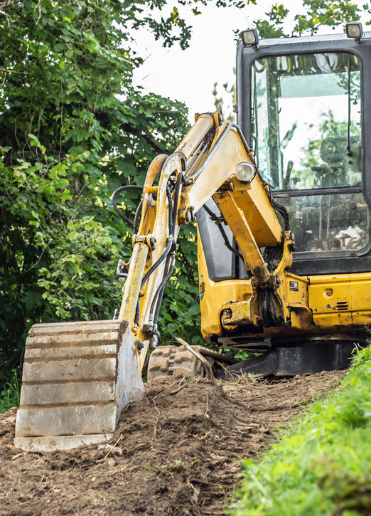 excavator removing bamboo