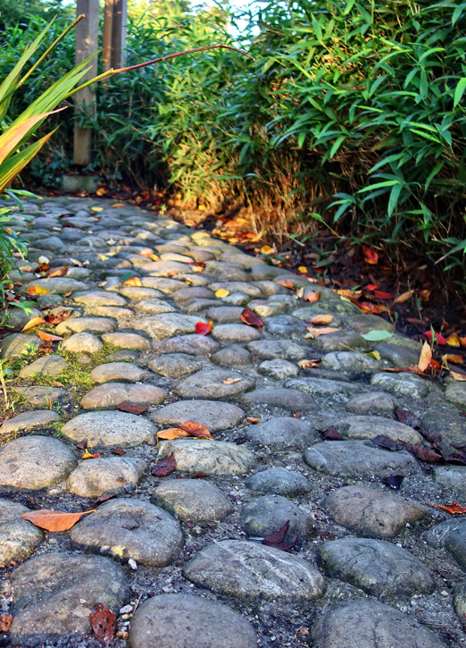 walkway stone walkway by bamboo
